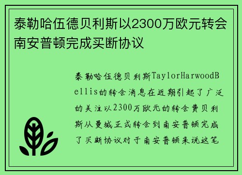 泰勒哈伍德贝利斯以2300万欧元转会南安普顿完成买断协议